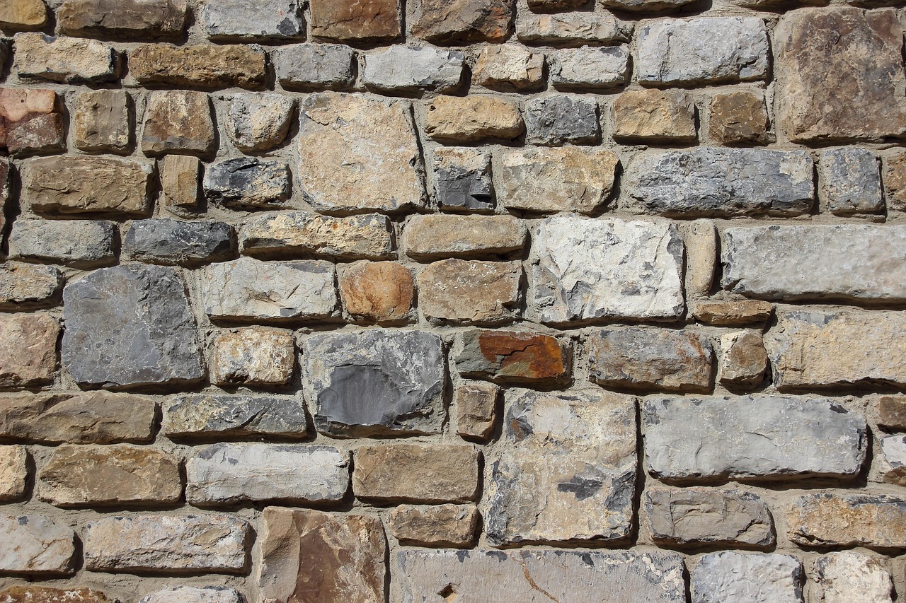 Different paver materials comparison showing concrete brick and natural stone samples for Florida climate