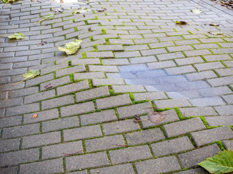 Mossy uneven pavers with organic growth indicating moisture issues and poor drainage